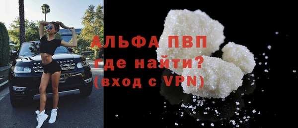 гашик Ессентукская